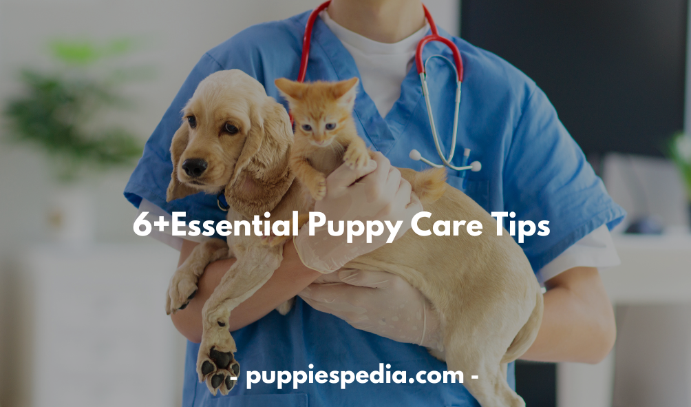 Puppy Care Tips