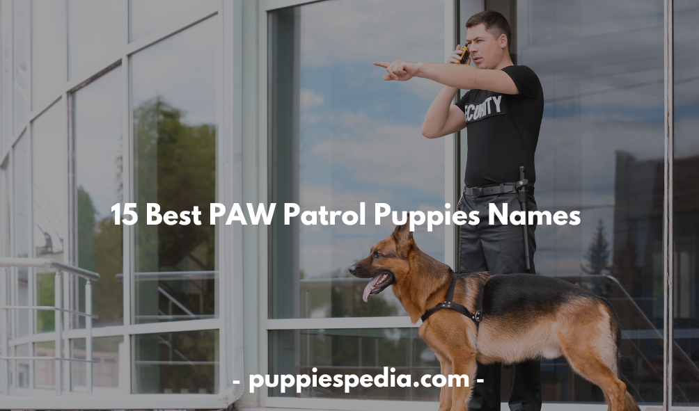 PAW Patrol Puppies Names